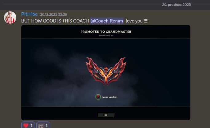 coach image